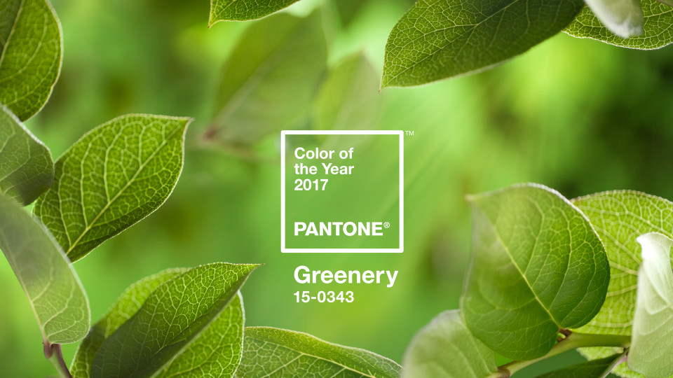 pantone-greenery-colour-of-the-year-2017
